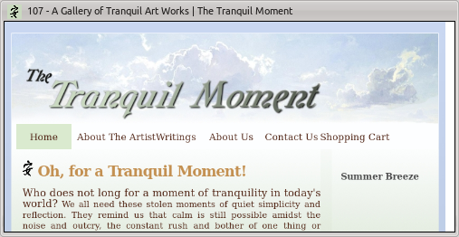 The Tranquil Moment Website